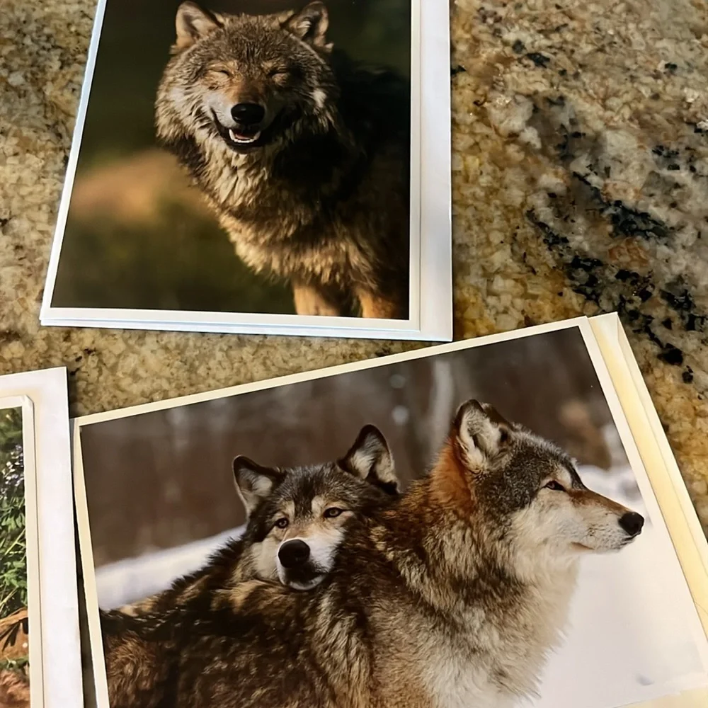 Wolf Themed Greeting Cards Set